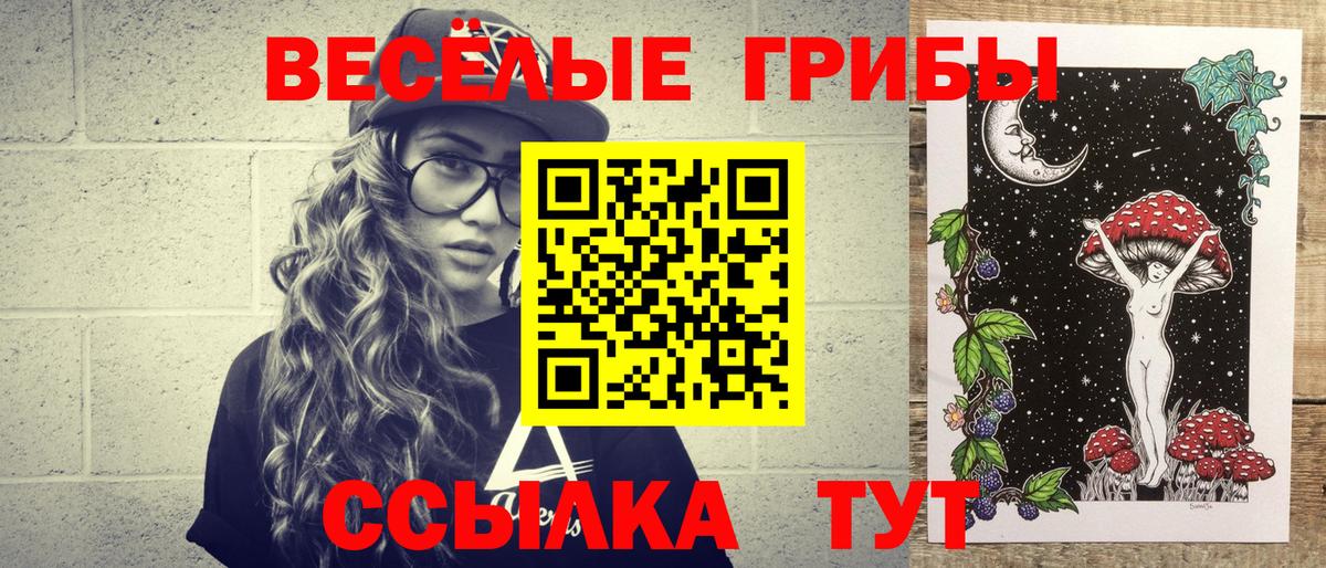 Псилоцибиновые грибы мицелий Чита